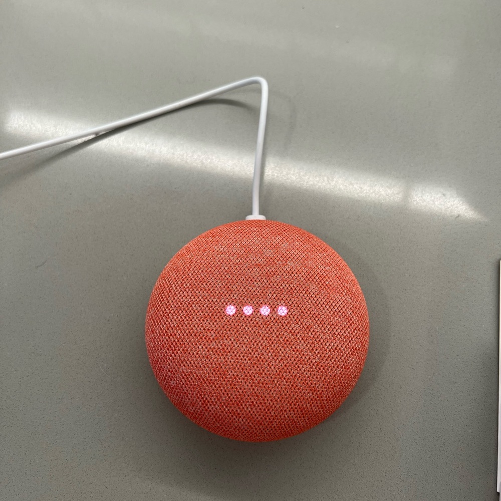 Google Nest Mini
